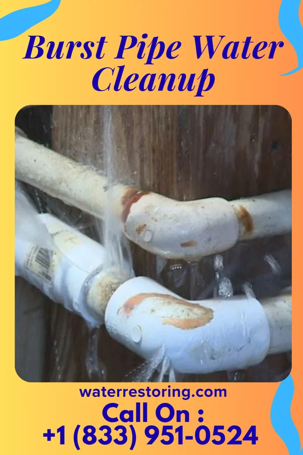 Burst Pipe Water Cleanup in Eland, WI