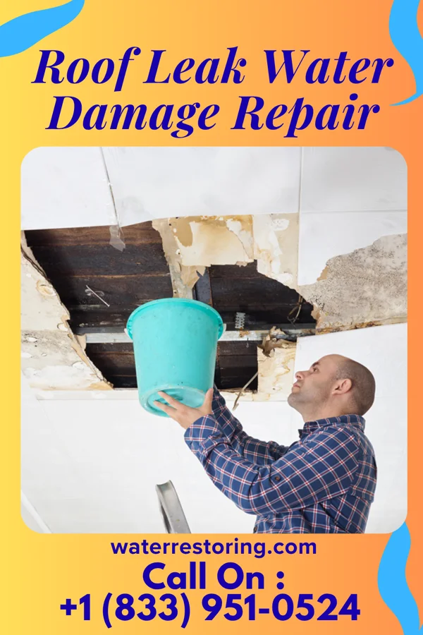 Roof Leak Water Damage Repair in Eland, WI