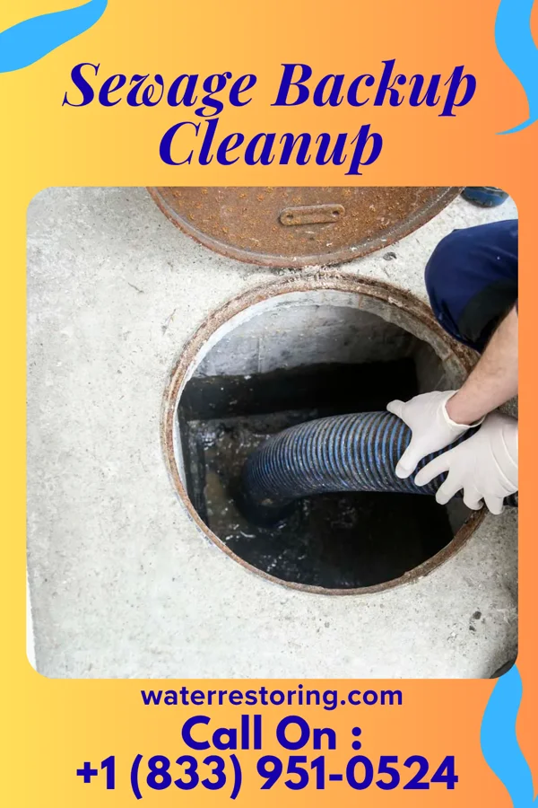 Sewage Backup Cleanup in Eland, WI
