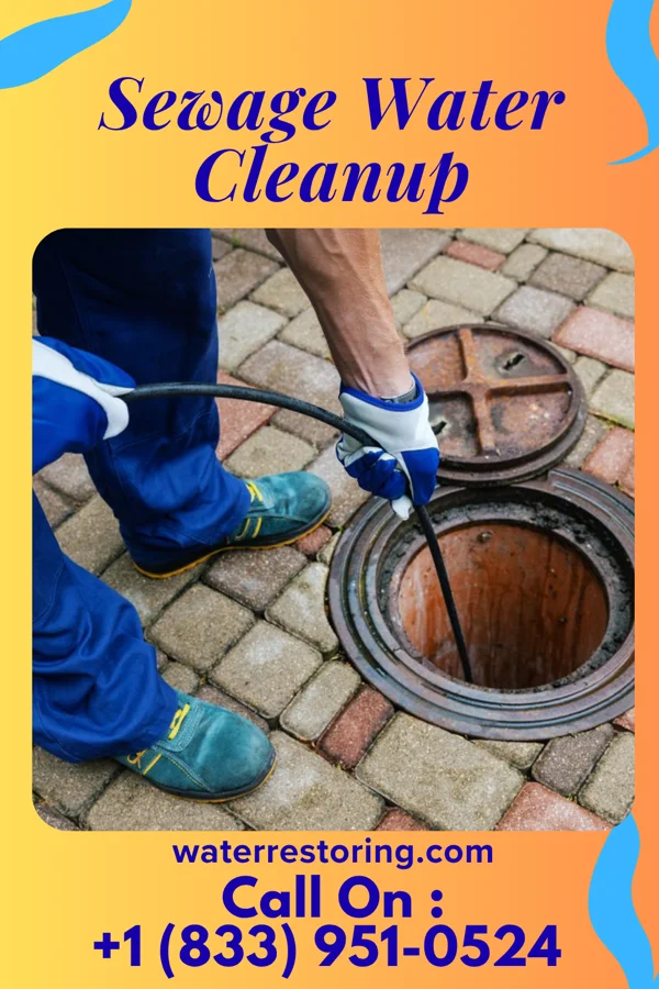 Sewage Water Cleanup in Eland, WI